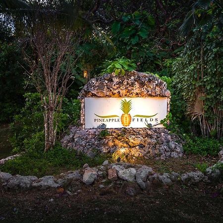 거버너스 하버 Pineapple Fields 아파트 호텔 외부 사진